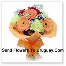 10 Assorted Cute Gerberas