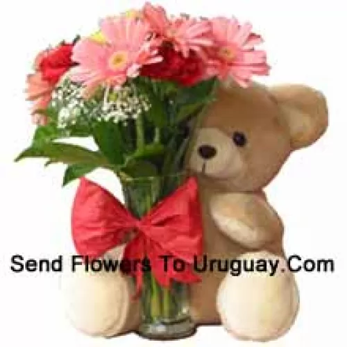 12 Red Carnations And Pink Gerberas In A Glass Vase Decorated With A Bow And Accompanied With A Cuddly Teddy Bear