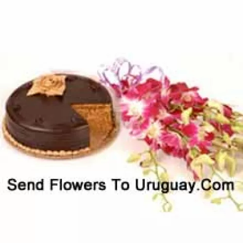 Un hermoso ramo de orquídeas rosadas y un pastel de chocolate de 1 lb. (Tenga en cuenta que la entrega de pasteles solo está disponible para la región de Metro Manila. Cualquier pedido de entrega de pasteles fuera de Metro Manila será sustituido por un pastel de brownie de chocolate sin crema o se ofrecerá al destinatario un vale de Red Ribbon suficiente para comprar el mismo pastel) (Tenga en cuenta que la entrega de pasteles solo está disponible para la región de Metro Manila. Cualquier pedido de entrega de pasteles fuera de Metro Manila será sustituido por un pastel de brownie de chocolate sin crema o se ofrecerá al destinatario un vale de Red Ribbon suficiente para comprar el mismo pastel)