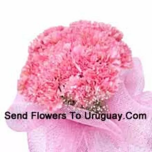 A Beautiful Bunch Of 24 Pink Carnations With Seasonal Fillers