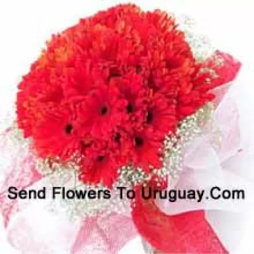 A Beautiful Bunch Of 36 Red Gerberas With Seasonal Fillers