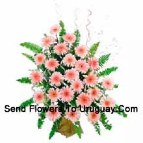 Basket Of 24 Pink Colored Gerberas