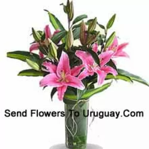 Pink Colored Lilies In A Vase