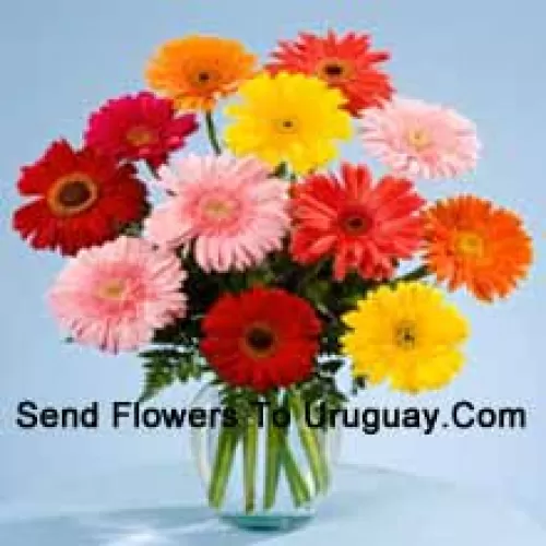 12 Gerberas de Colores Mixtos en un Jarrón