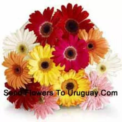 Bouquet de 12 gerberas colorés assortis avec des remplissages