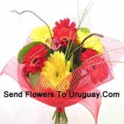 Bunch Of 12 Mixed Colored Gerberas