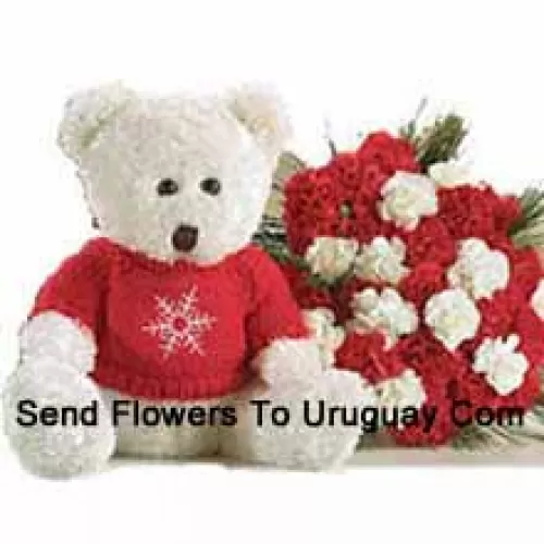 Bunch Of 24 Red And White Carnations With A Medium Sized Cute Teddy Bear