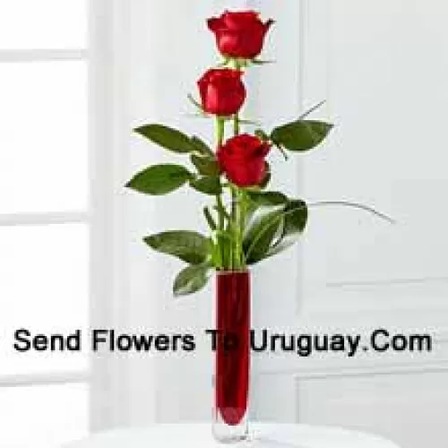 Three Red Roses In A Red Test Tube Vase (We Reserve The Right To Substitute The Vase In Case Of Non-Availability. Limited Stock)