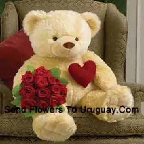 Um buquê de 12 rosas vermelhas com um urso de pelúcia de 32 polegadas de altura (Por favor, note que reservamos o direito de substituir o urso de pelúcia por um de igual valor e tamanho, caso não esteja disponível o mesmo. Estoque limitado. Ao substituir o produto, garantiremos que a mesma exclusividade seja mantida)